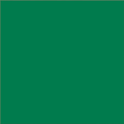 FL coat hanger green